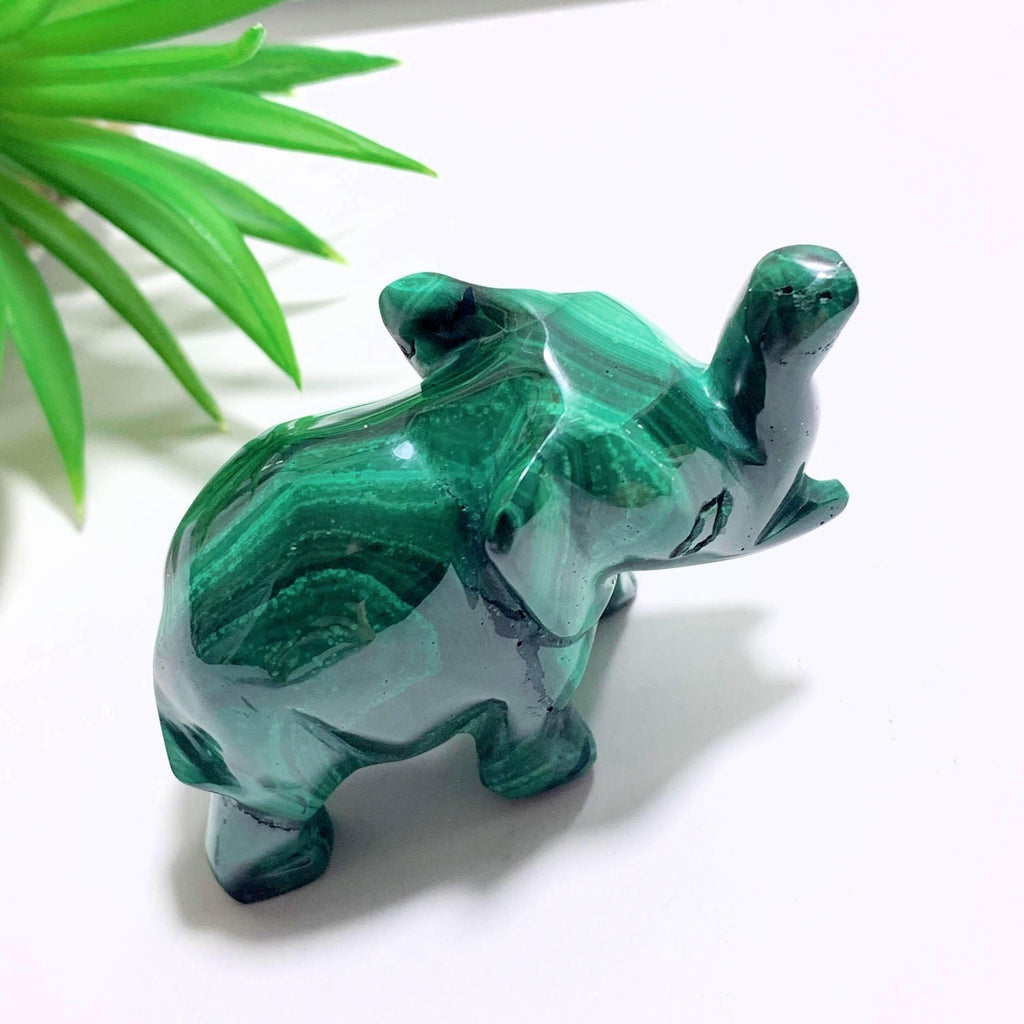 Adorable Malachite Elephant Standing Display Carving #3 - Earth Family Crystals