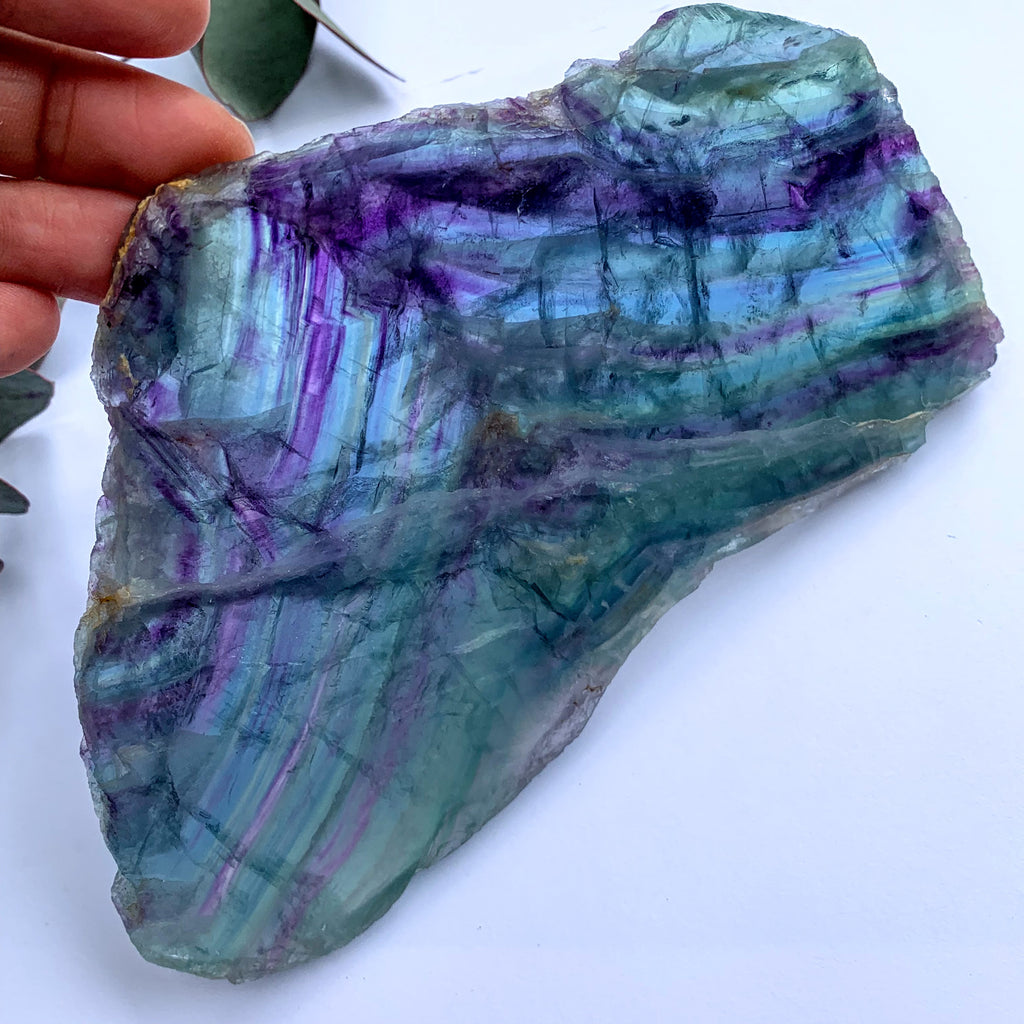 Incredible Brilliance Large Rainbow Fluorite Slice Display Specimen - Earth Family Crystals