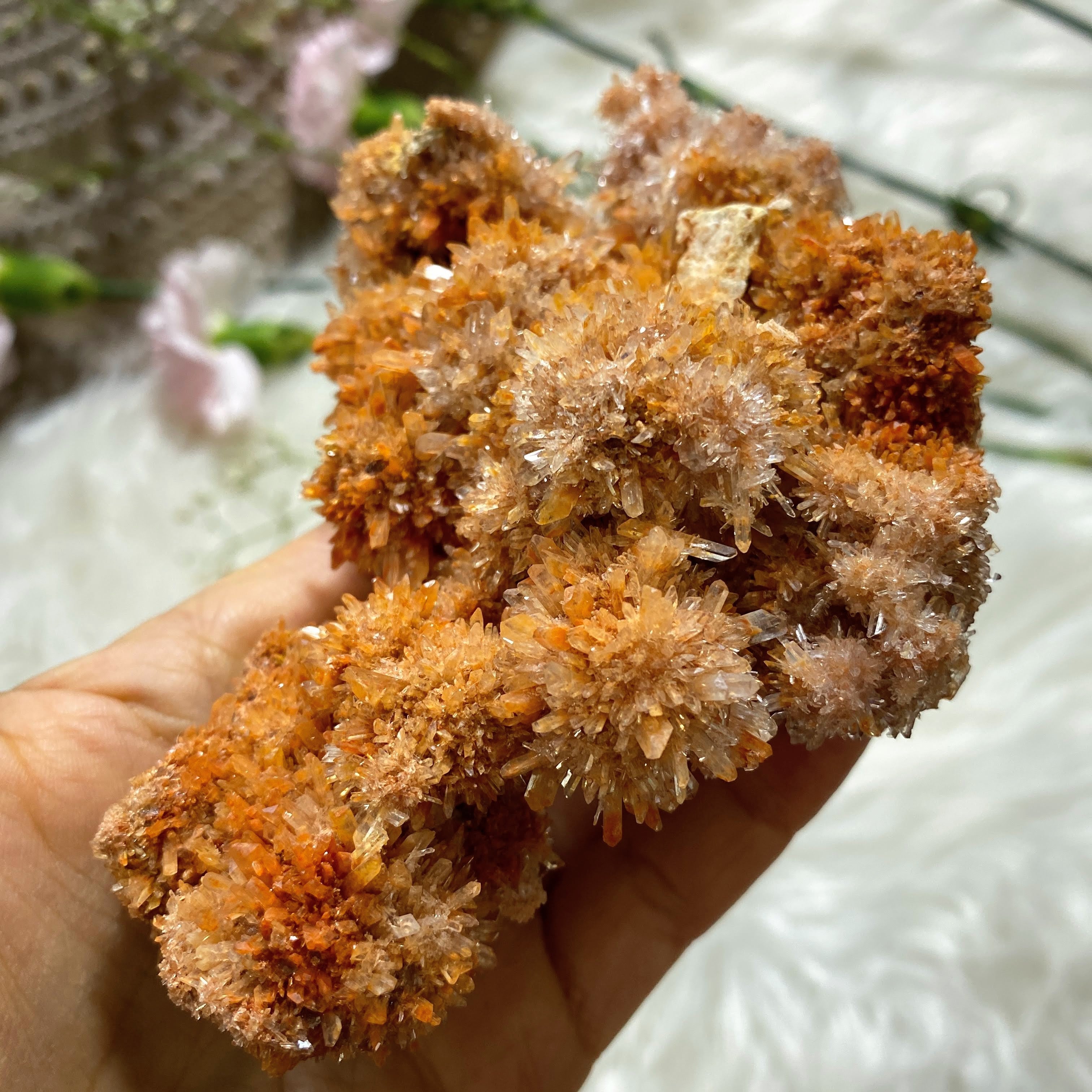Incredible Sparkling Orange Creedite Large Natural Specimen -Locality Mexico - Earth Family Crystals