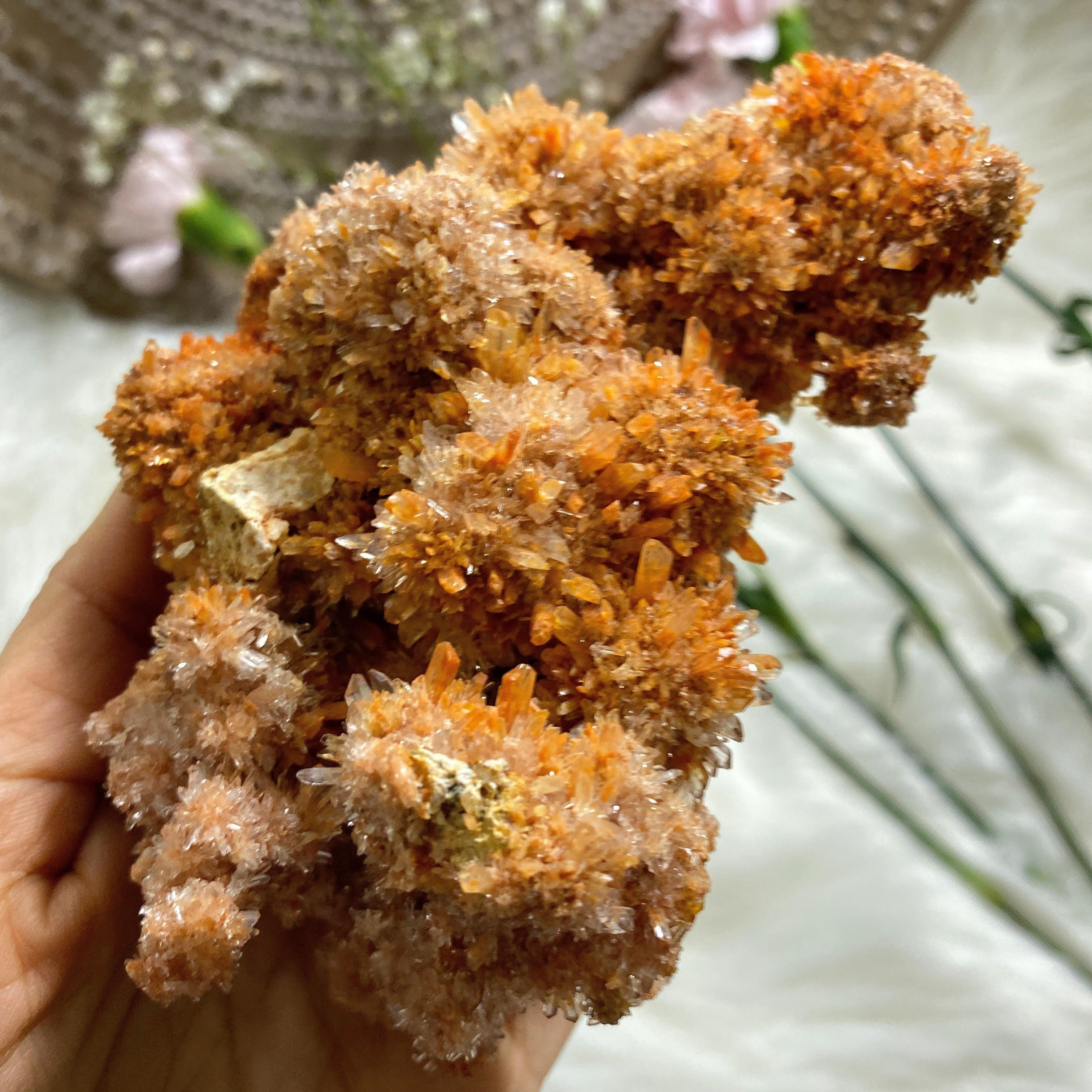 Incredible Sparkling Orange Creedite Large Natural Specimen -Locality Mexico - Earth Family Crystals