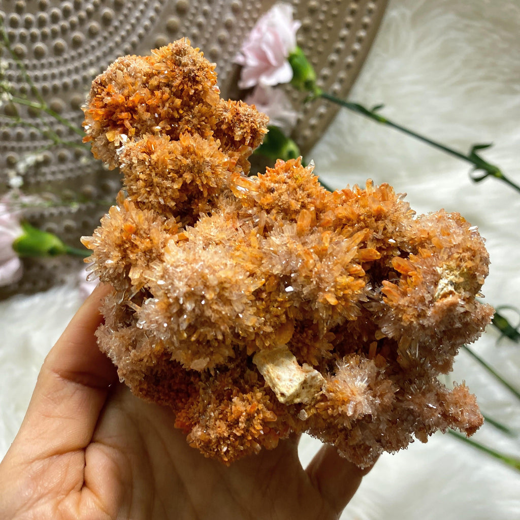 Incredible Sparkling Orange Creedite Large Natural Specimen -Locality Mexico - Earth Family Crystals