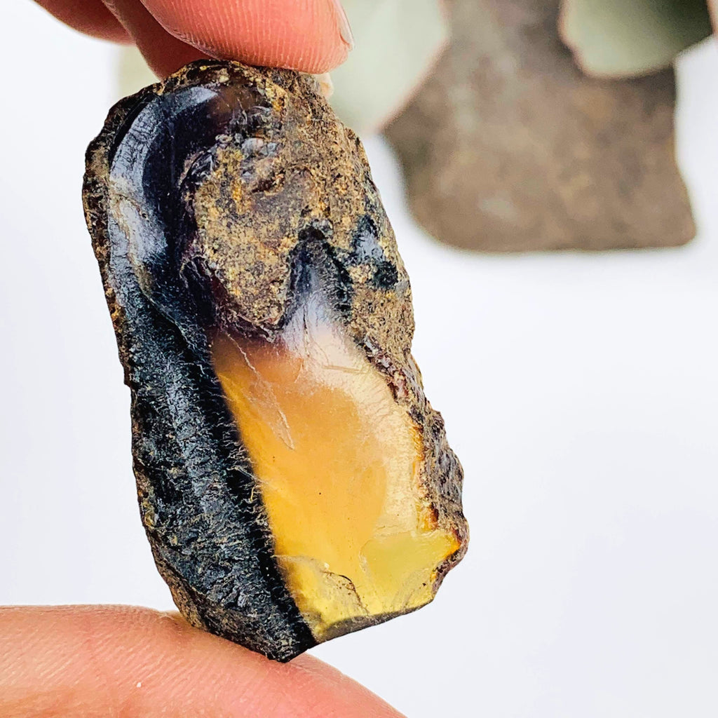 Sumatra Blue & Golden Raw Amber Chunk Specimen #8 - Earth Family Crystals