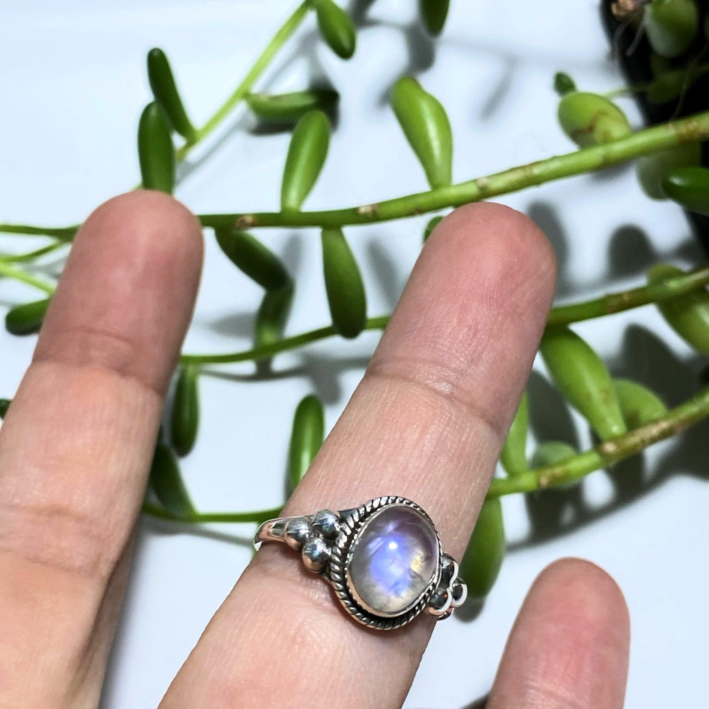 Purple Flashes Rainbow Moonstone Ring in Sterling Silver (Size: 8) - Earth Family Crystals