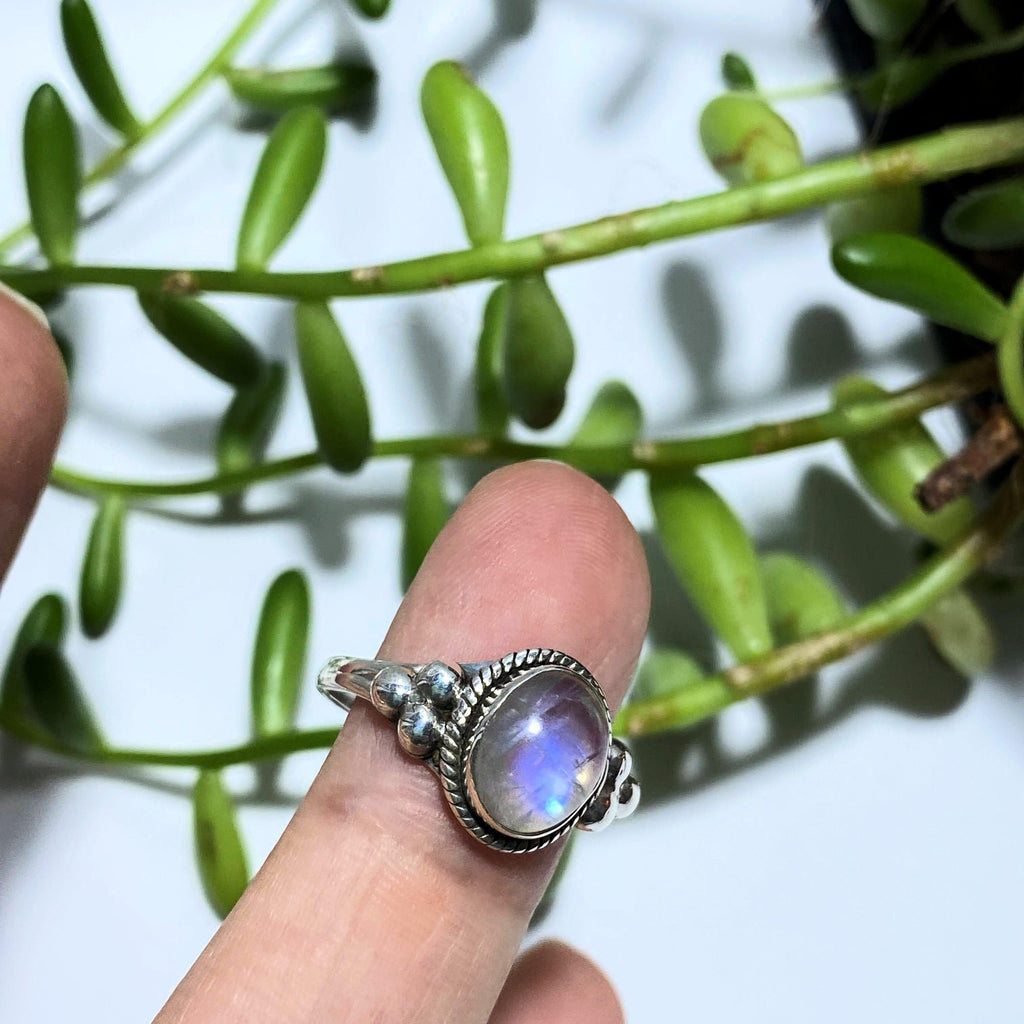 Purple Flashes Rainbow Moonstone Ring in Sterling Silver (Size: 8) - Earth Family Crystals