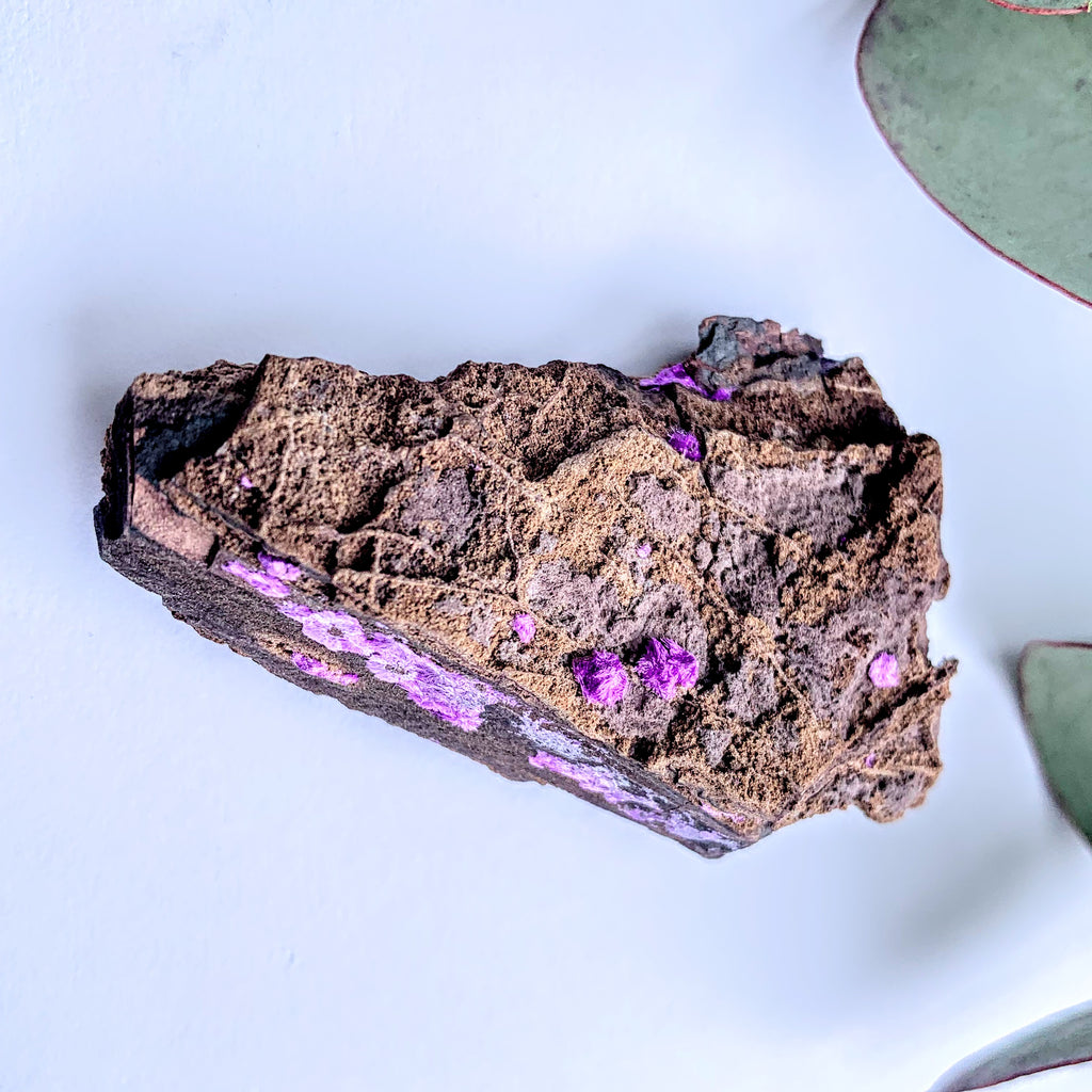 Rare & Raw Silky Purple Sugilite on Rock Matrix From South Africa - Earth Family Crystals