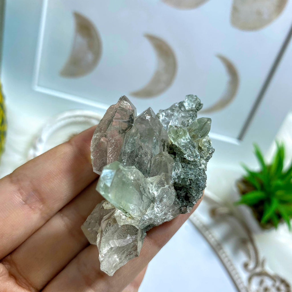 Rare ~Samadhi Green Himalayan Quartz Cluster #1 - Earth Family Crystals
