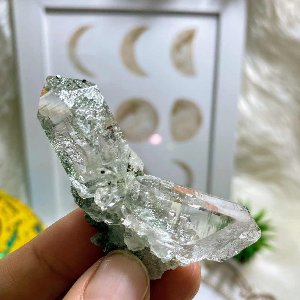 Rare ~Samadhi Green Himalayan Quartz Cluster #2 - Earth Family Crystals