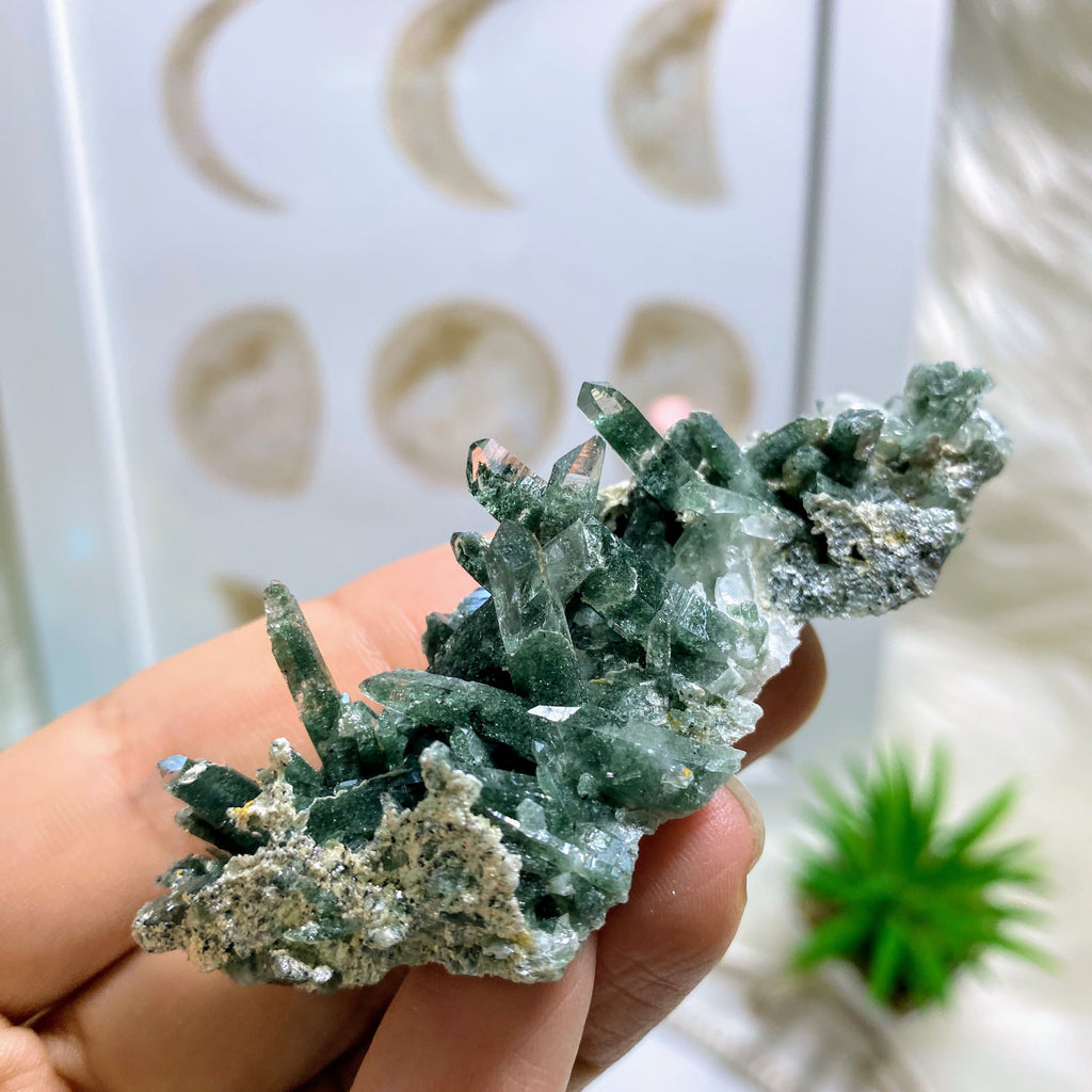 Rare ~Samadhi Green Himalayan Quartz Cluster #3 - Earth Family Crystals