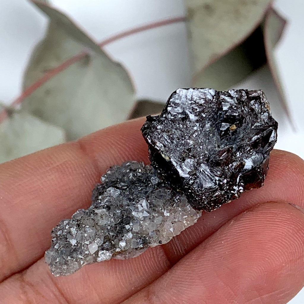 Elmwood Mine Deep Burgundy Sphalerite & Druzy Quartz Small Specimen - Earth Family Crystals
