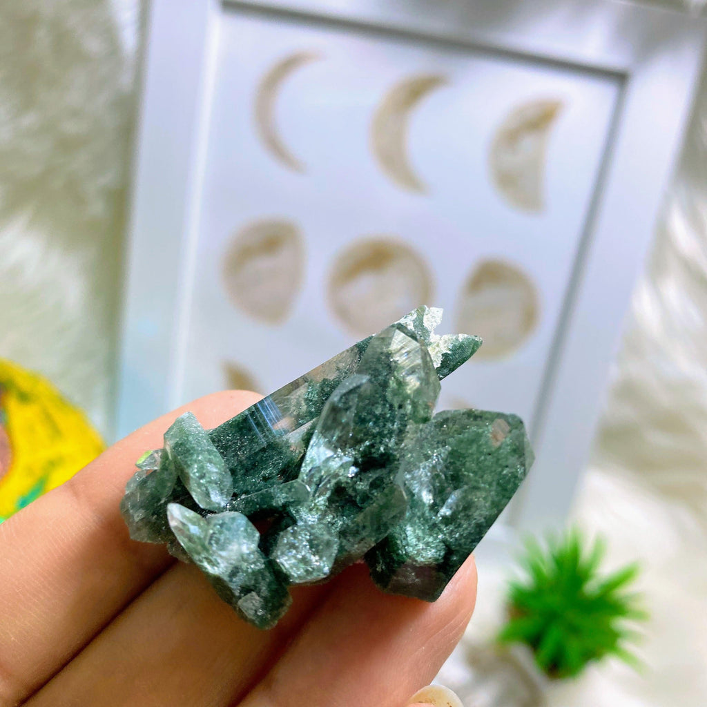 Rare ~Samadhi Green Himalayan Quartz Cluster #6 - Earth Family Crystals