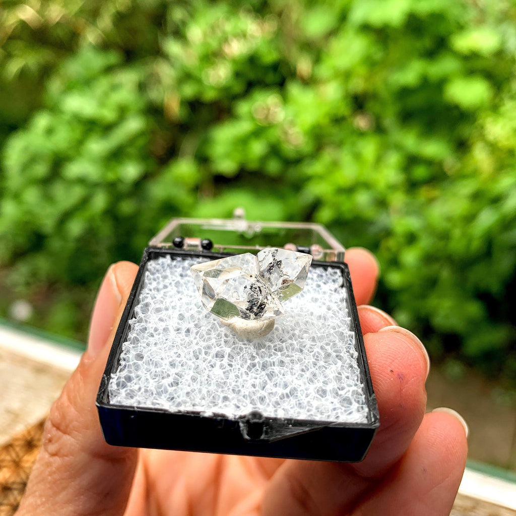Brilliant Clarity New York Herkimer Diamond Quartz Specimen in Collectors Box #5 - Earth Family Crystals