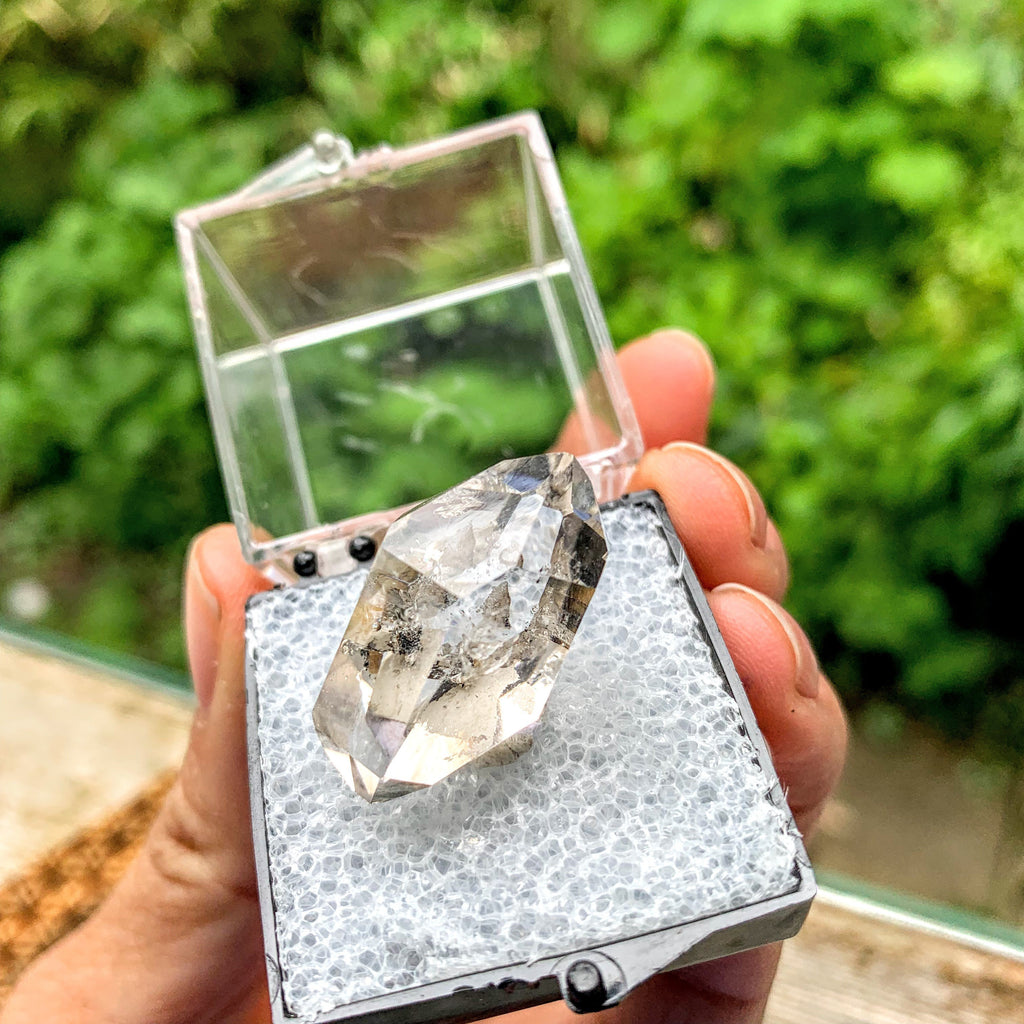 Brilliant Clarity New York Herkimer Diamond Quartz Specimen in Collectors Box #6 - Earth Family Crystals
