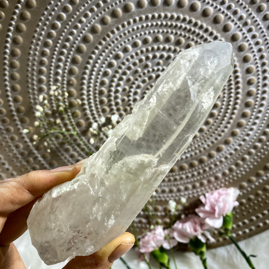 Unique White Chlorite Included Lemurian Quartz Unpolished Long Point  From Brazil - Earth Family Crystals