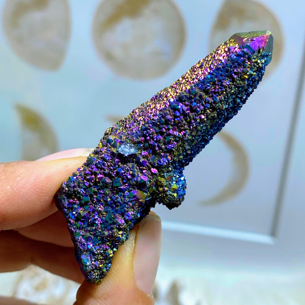 Vibrant & Cheerful Rainbow Titanium Spirit Quartz Point #1 - Earth Family Crystals