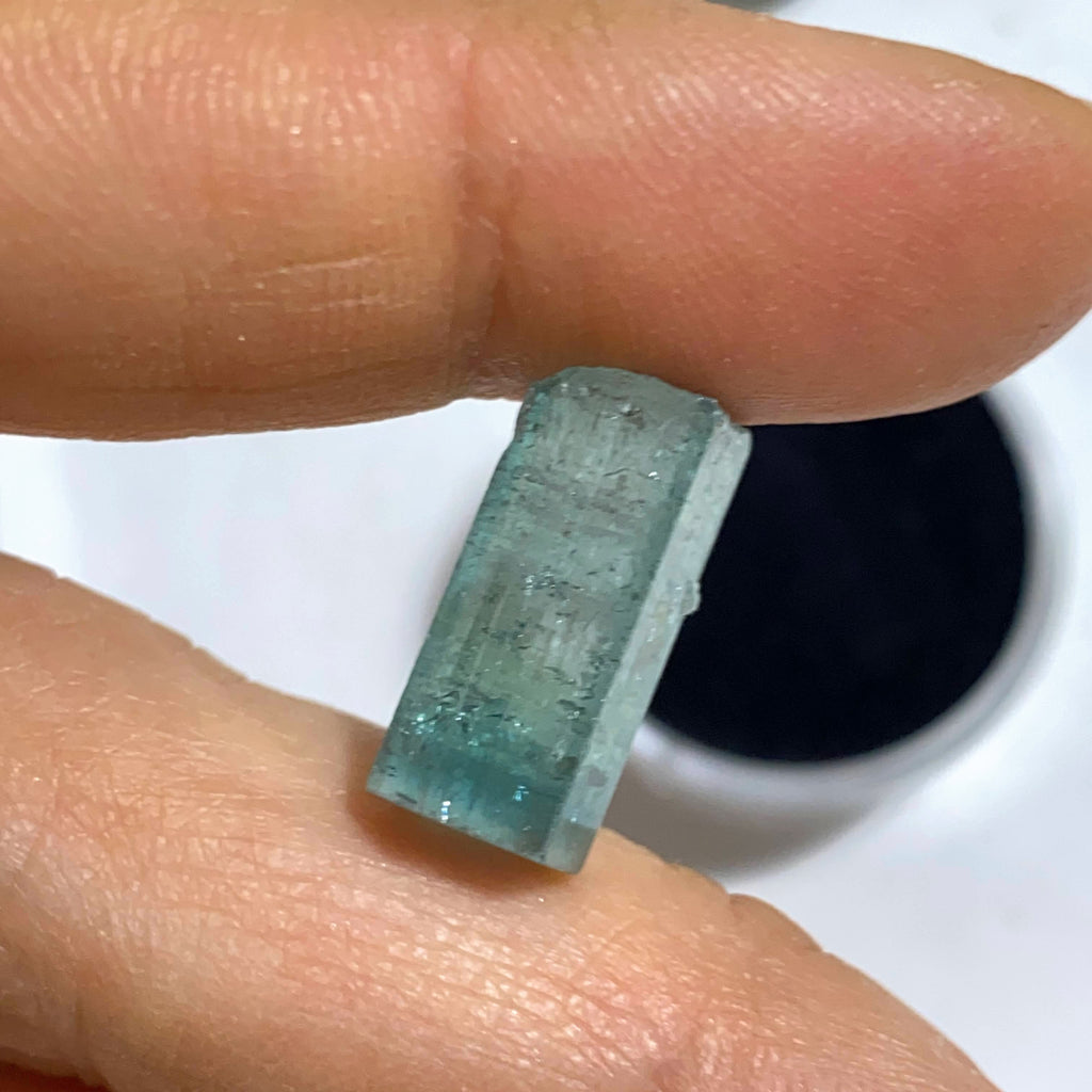 Rare California Find! 10CT Indicolite Blue Tourmaline Terminated Point ~Locality: Oceanside, California - Earth Family Crystals