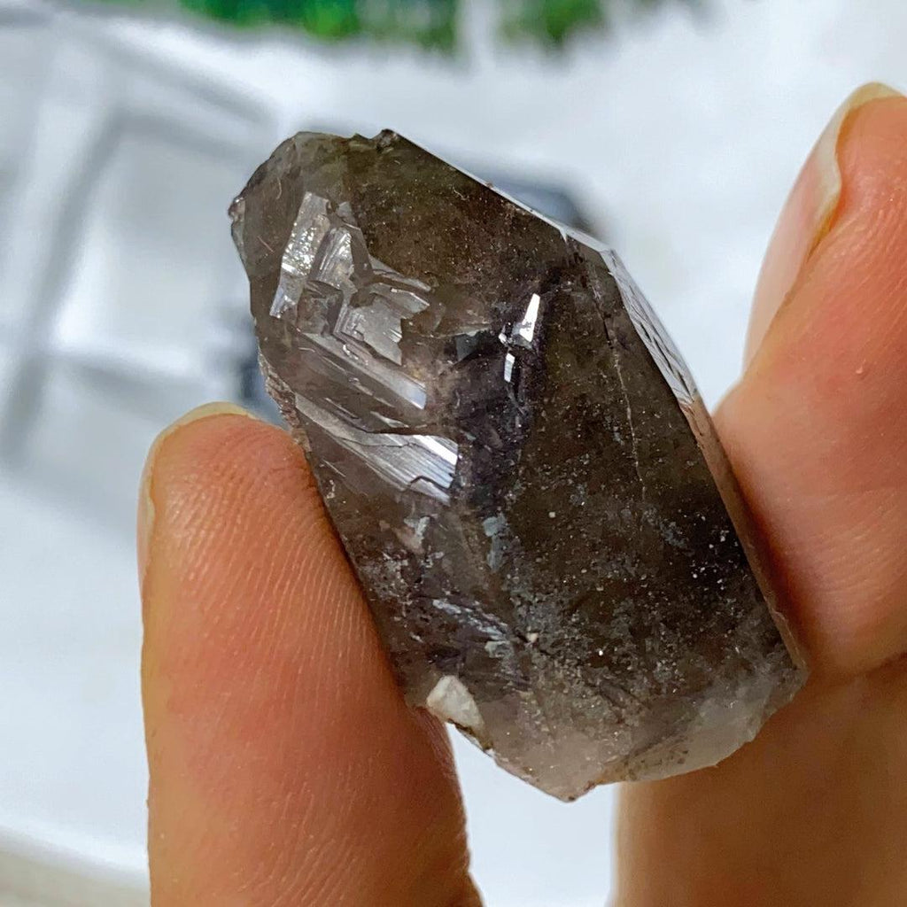 Famous Locale~ Natural Smoky Quartz Point in Collectors Box From Lake George, Colorado - Earth Family Crystals