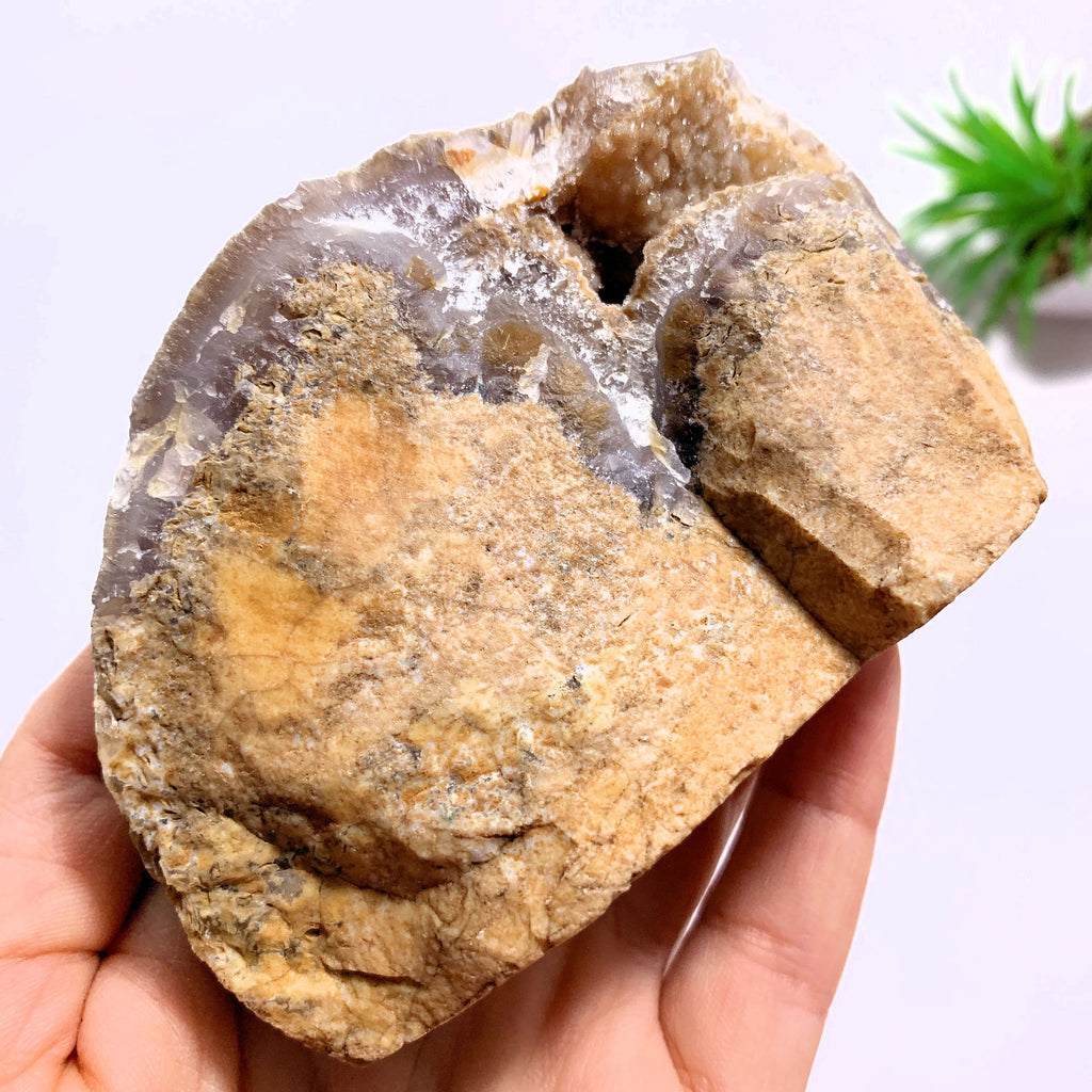 Glimmering Smoky Quartz Caves & Agate Standing Partially Polished Specimen From Brazil - Earth Family Crystals
