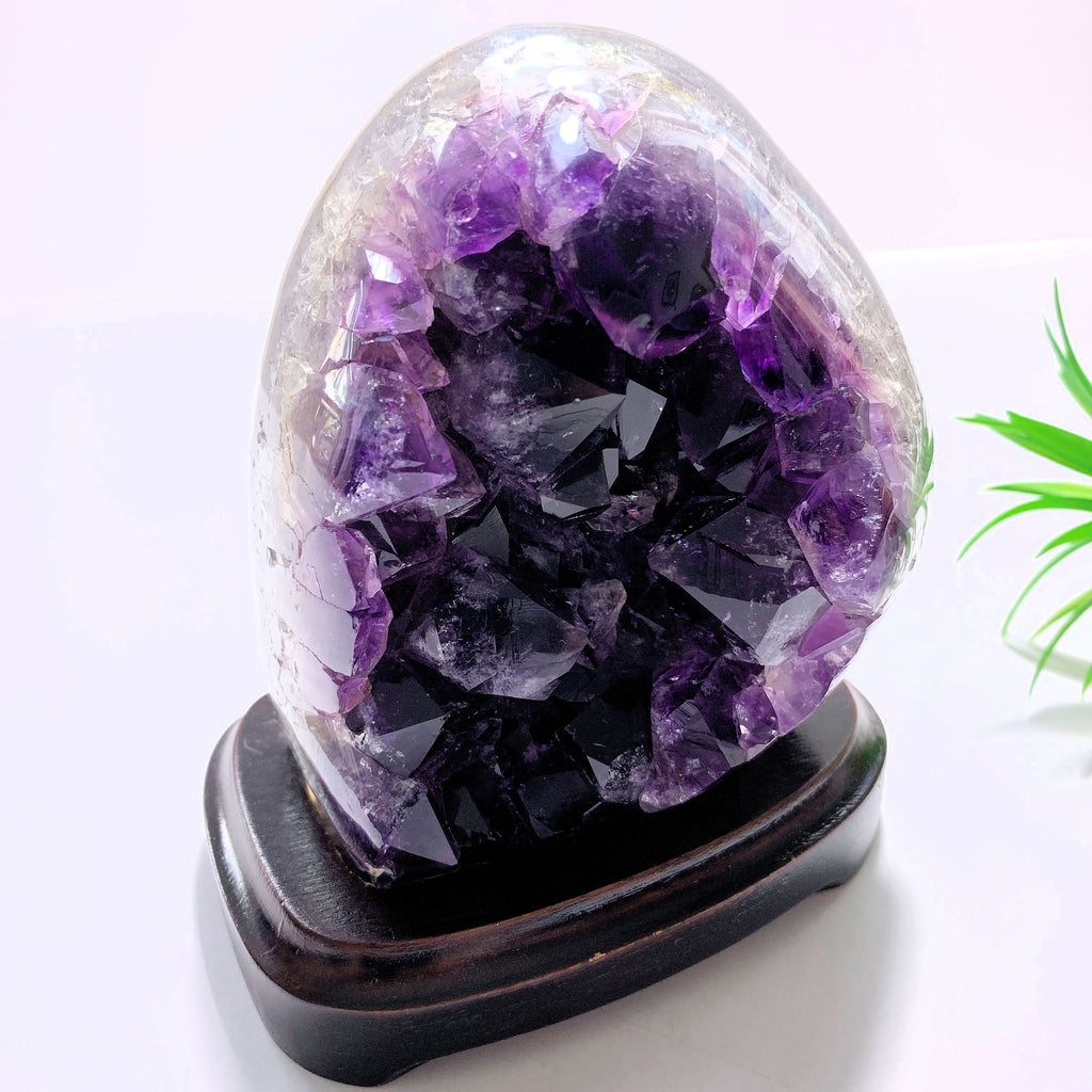 Dark Purple Amethyst Specimen on Removable Wood Display Stand From Uruguay - Earth Family Crystals
