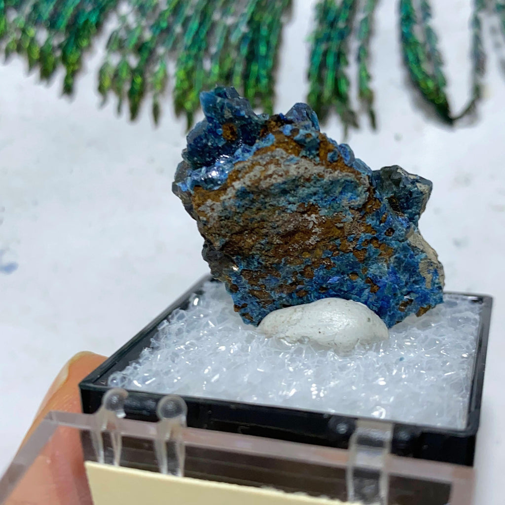 Very Rare! Lazulite Crystal Collectors Specimen in Box From Rapid Creek, Yukon, Canada - Earth Family Crystals
