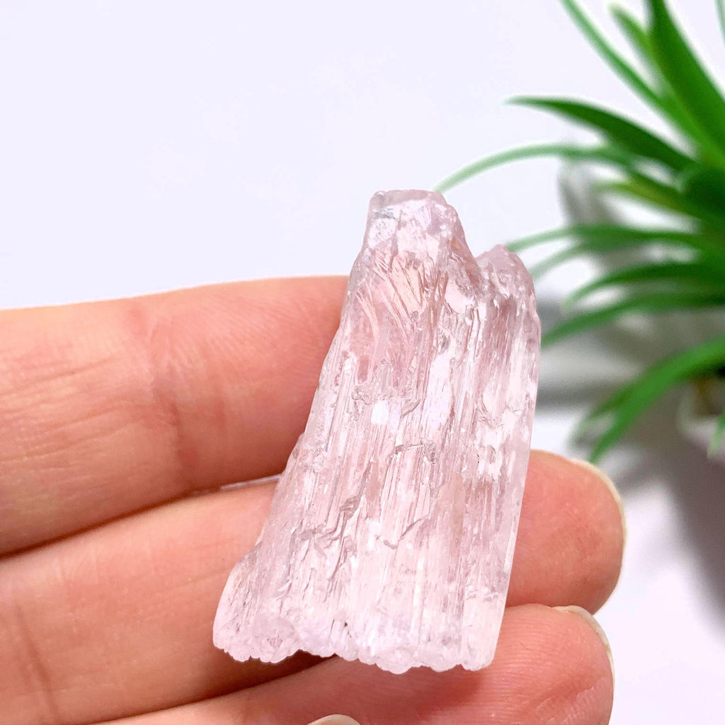 Pink Kunzite Terminated Points Specimen ~Locality Brazil - Earth Family Crystals