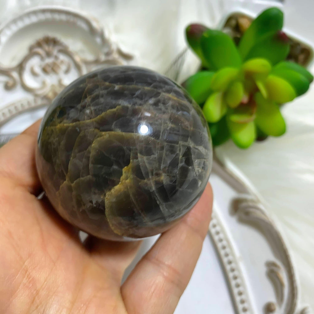 Black Moonstone Silver Sheen Flashes Medium Sphere Carving -Locality Madagascar - Earth Family Crystals