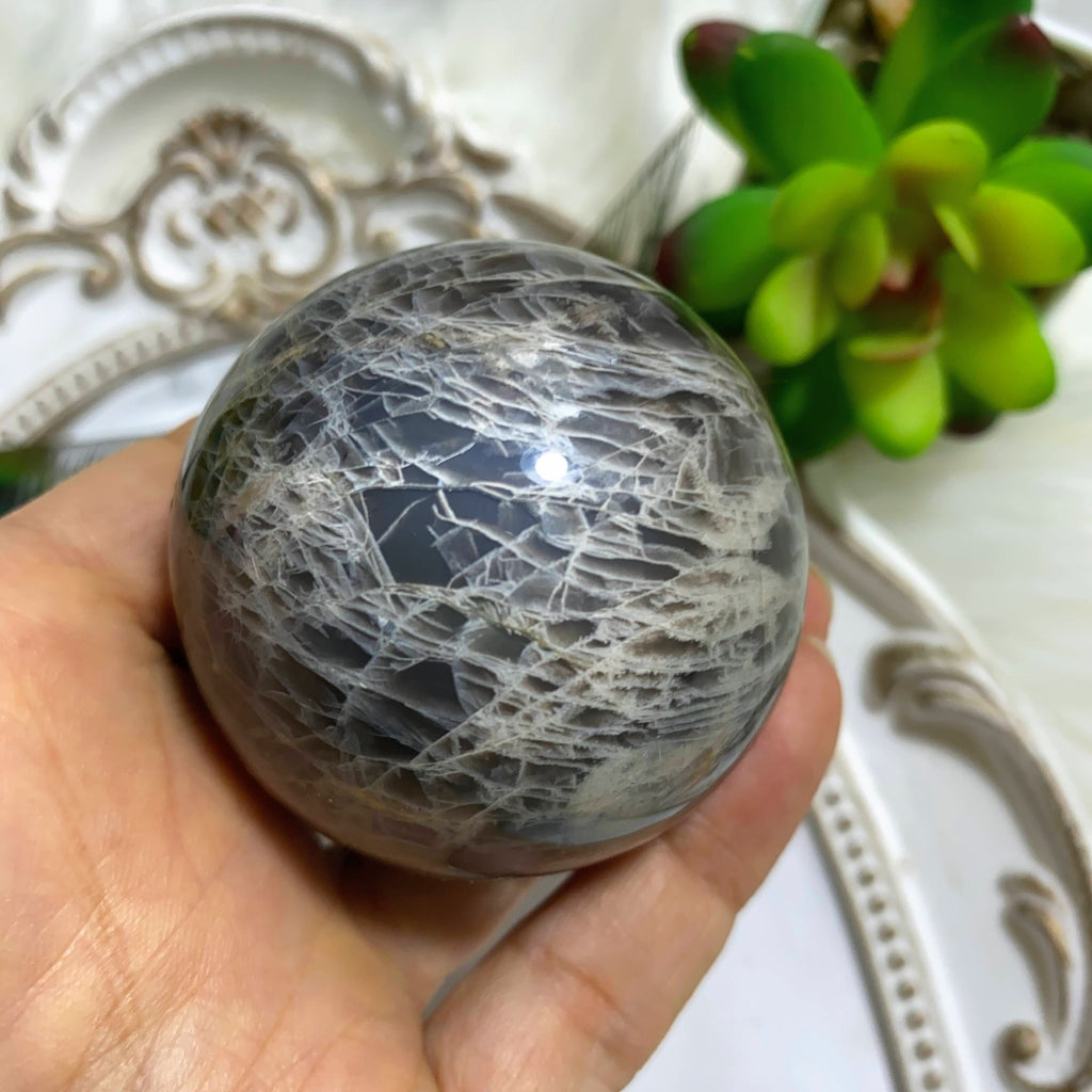 Black Moonstone Silver Sheen Flashes Medium Sphere Carving -Locality Madagascar - Earth Family Crystals