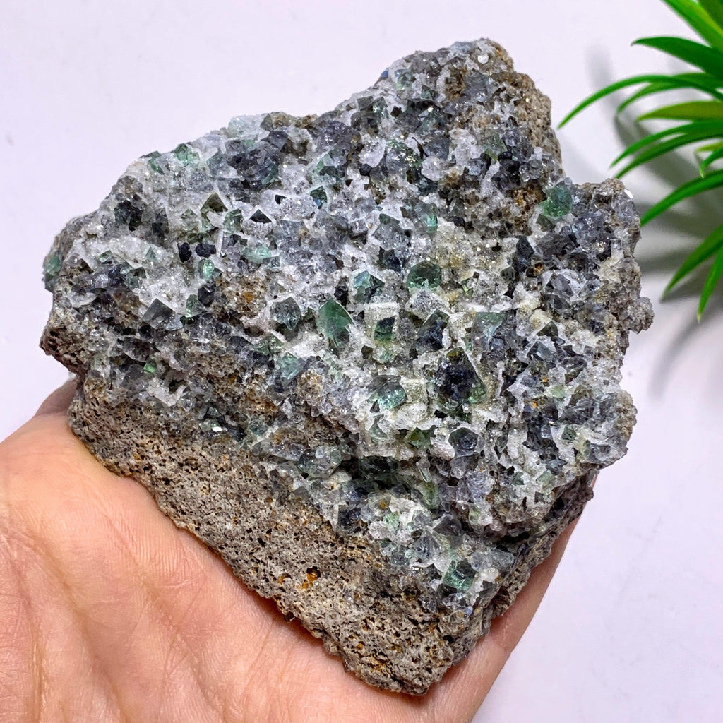 Rare Gemmy Green Cubic Fluorite From Famous Rogerley Mine, England - Earth Family Crystals