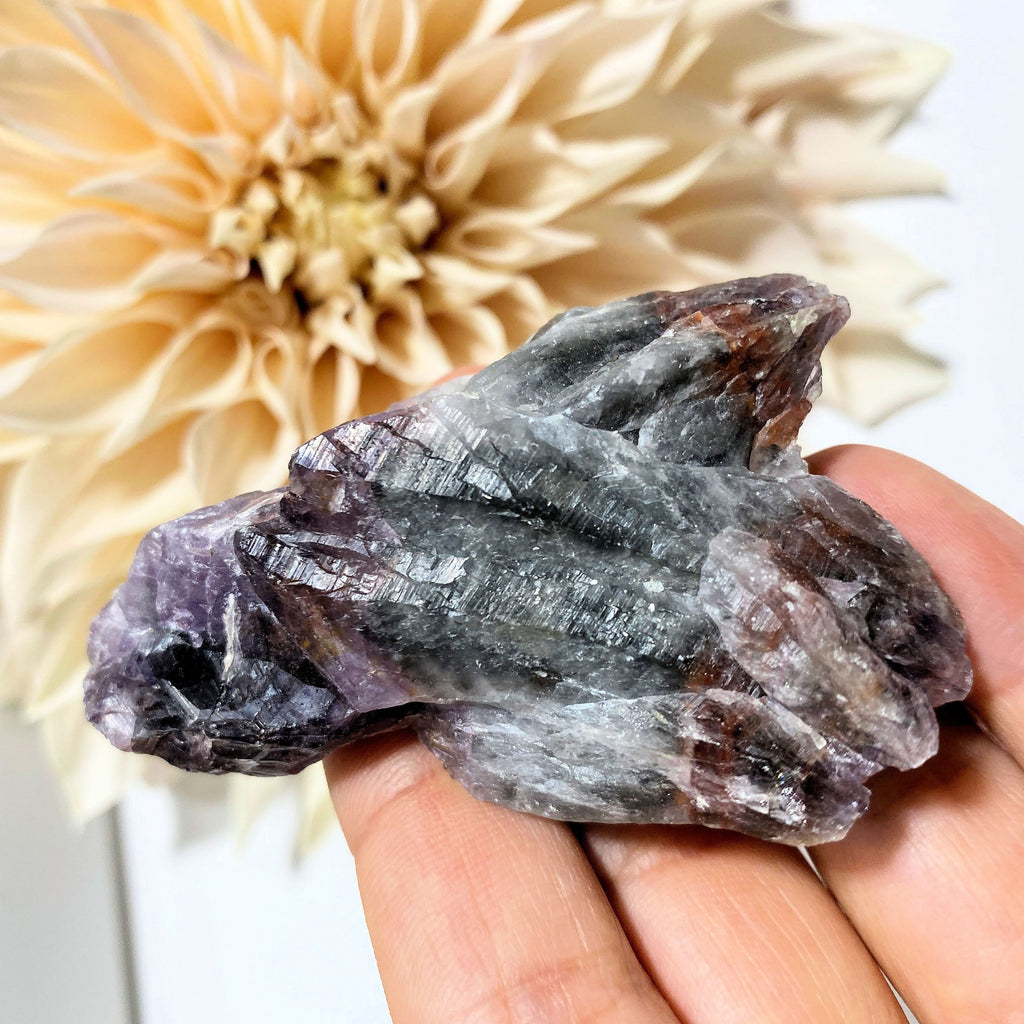 Raw & Natural Super 7 (Melody Stone) Wing Shaped Point From Brazil - Earth Family Crystals