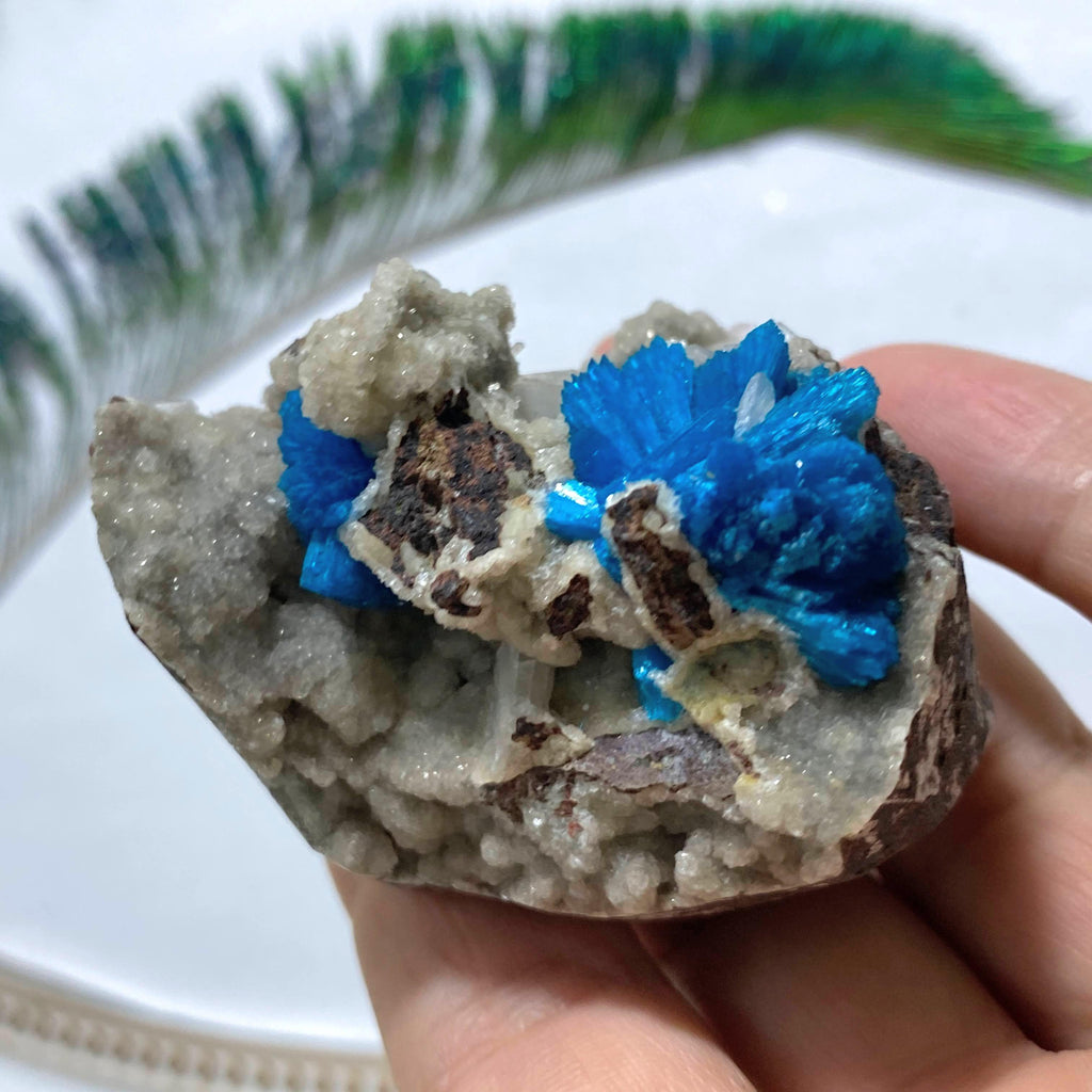 AA Grade Collectors Cavansite Crystals in Sparkly Druzy Stilbite Matrix From India - Earth Family Crystals