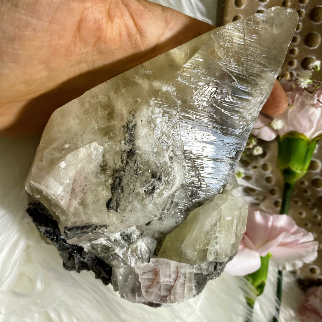 XL Stellar Beam Calcite Unique Natural Specimen From Mexico - Earth Family Crystals