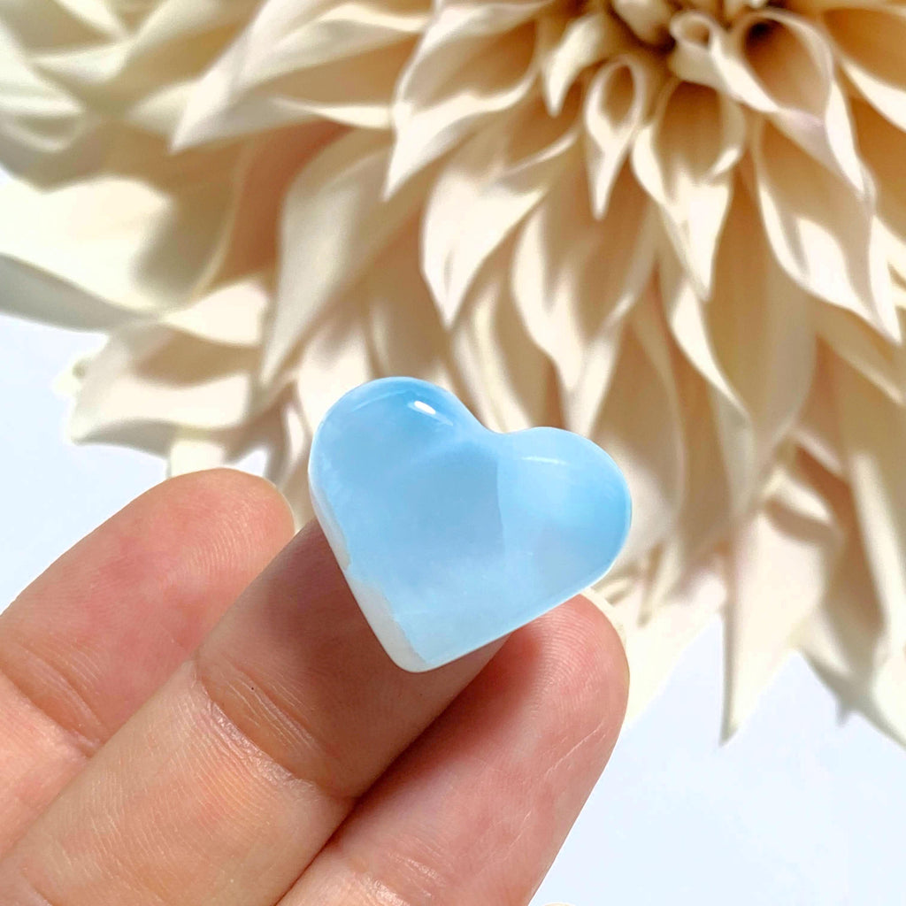 Frosted Blue Larimar Dainty Heart Carving~Locality: Dominican Republic #6 - Earth Family Crystals