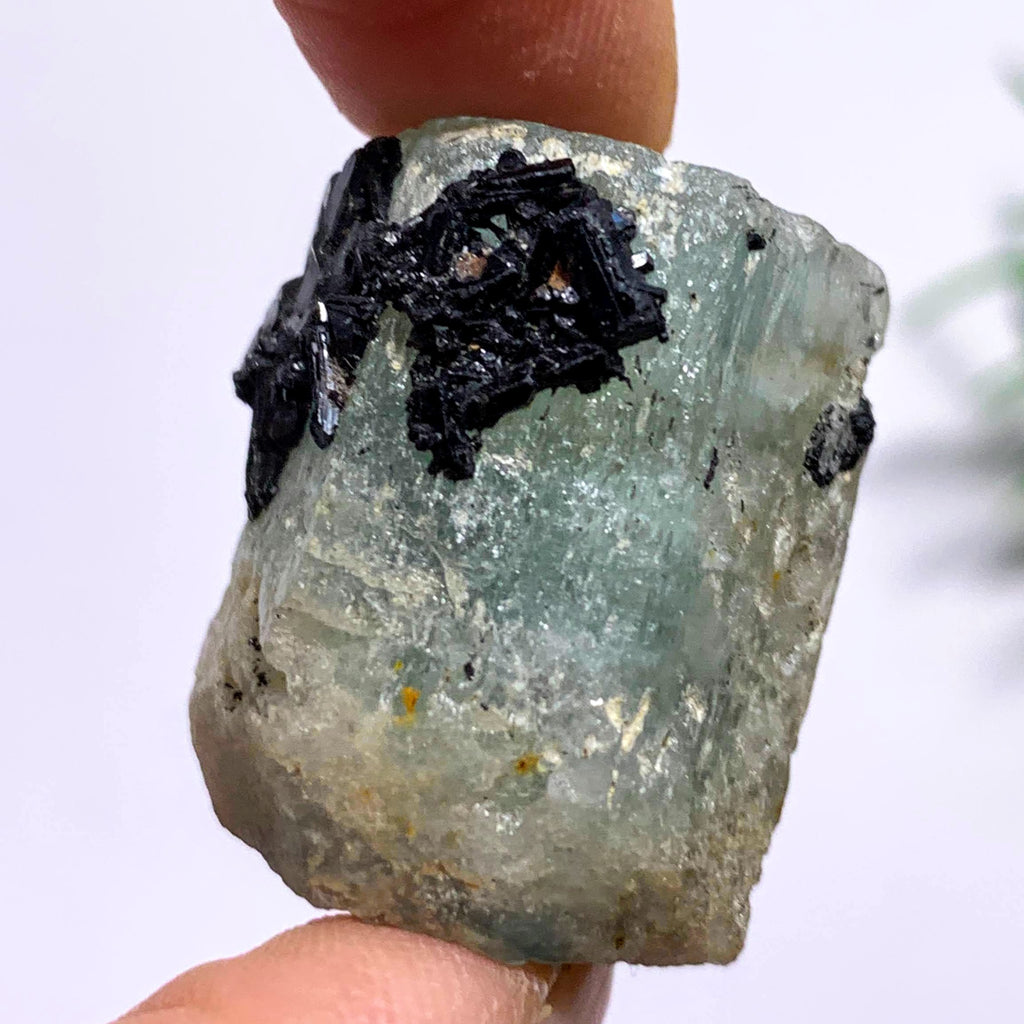 Natural Gemmy Blue Aquamarine With Black Tourmaline Point Inclusions From South Africa - Earth Family Crystals