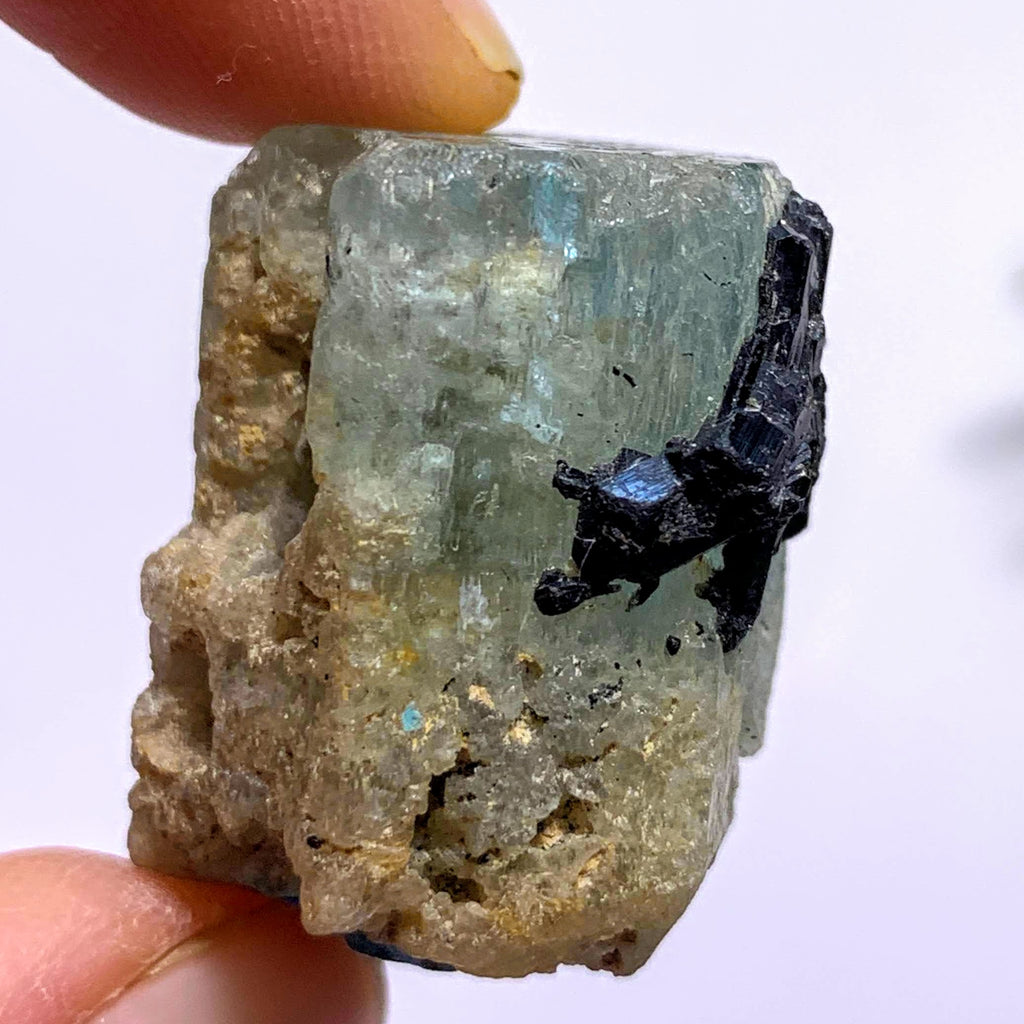 Natural Gemmy Blue Aquamarine With Black Tourmaline Point Inclusions From South Africa - Earth Family Crystals