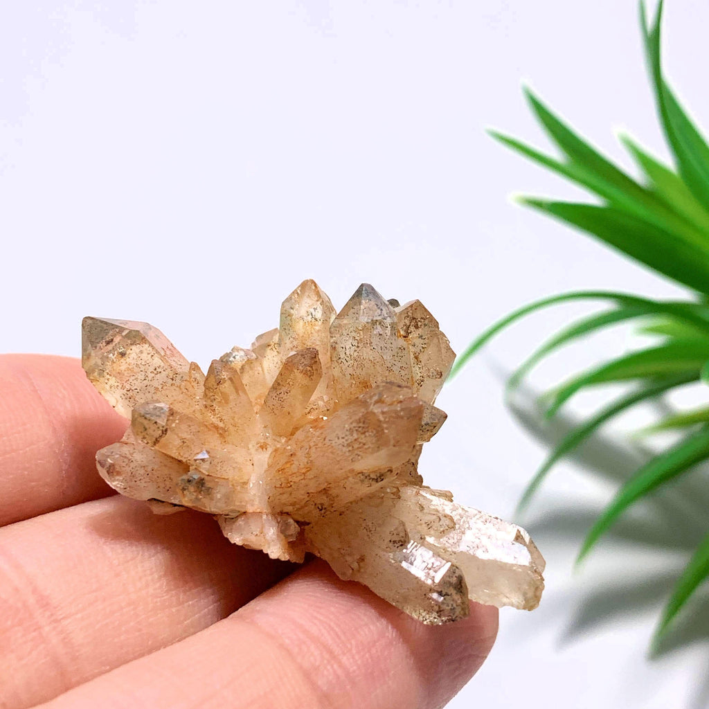 Orange River Quartz Hand Held Cluster From South Africa #1 - Earth Family Crystals