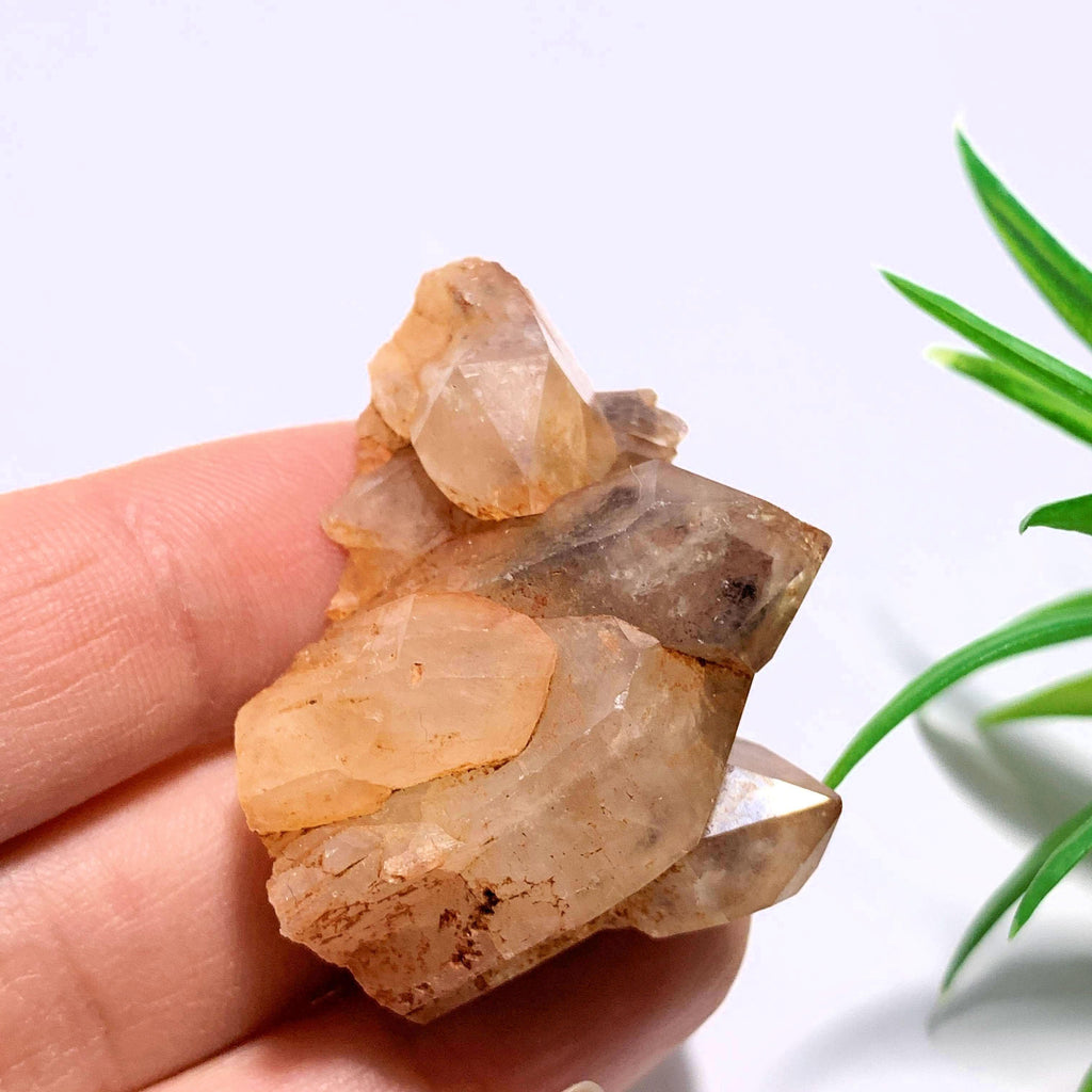 Orange River Phantom Quartz Hand Held Cluster From South Africa #2 - Earth Family Crystals