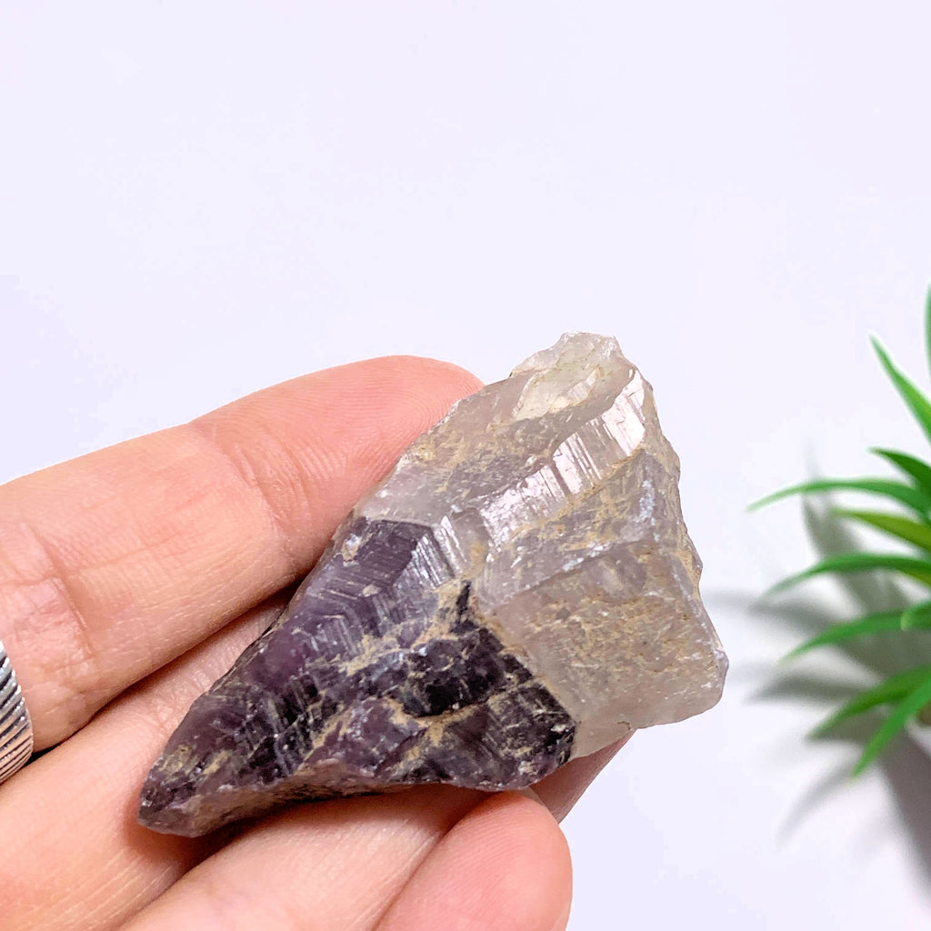 Genuine Elestial Auralite-23 Handheld Point From Ontario, Canada - Earth Family Crystals