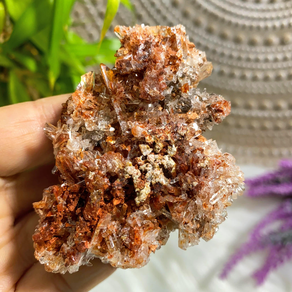 Sparkling Orange & Clear Creedite Medium Natural Specimen -Locality: Mexico - Earth Family Crystals