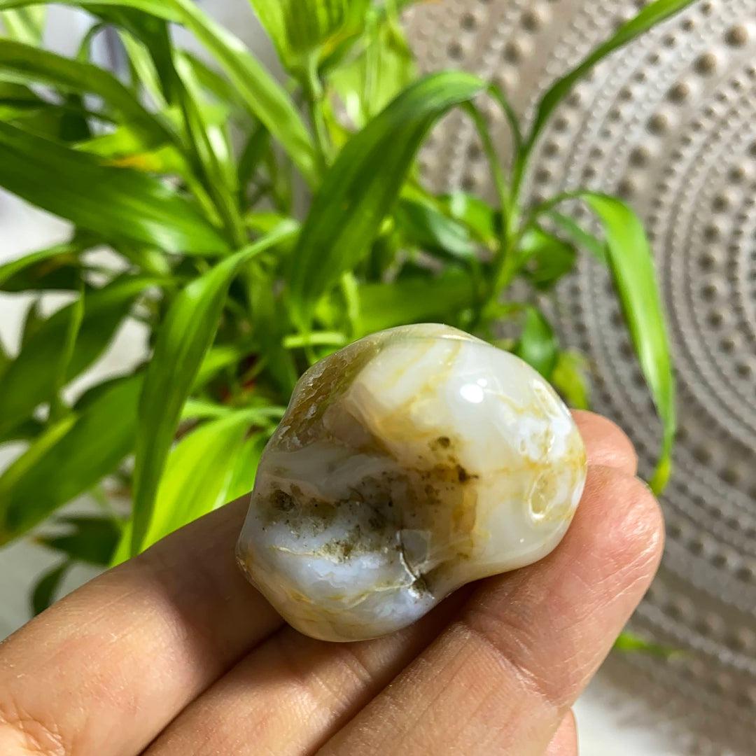 Popular Locale~Fairburn Agate Partially Polished Specimen From Black Hills, South Dakota, USA - Earth Family Crystals