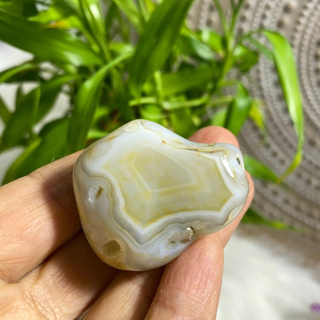 Popular Locale~Fairburn Agate Partially Polished Specimen From Black Hills, South Dakota, USA - Earth Family Crystals