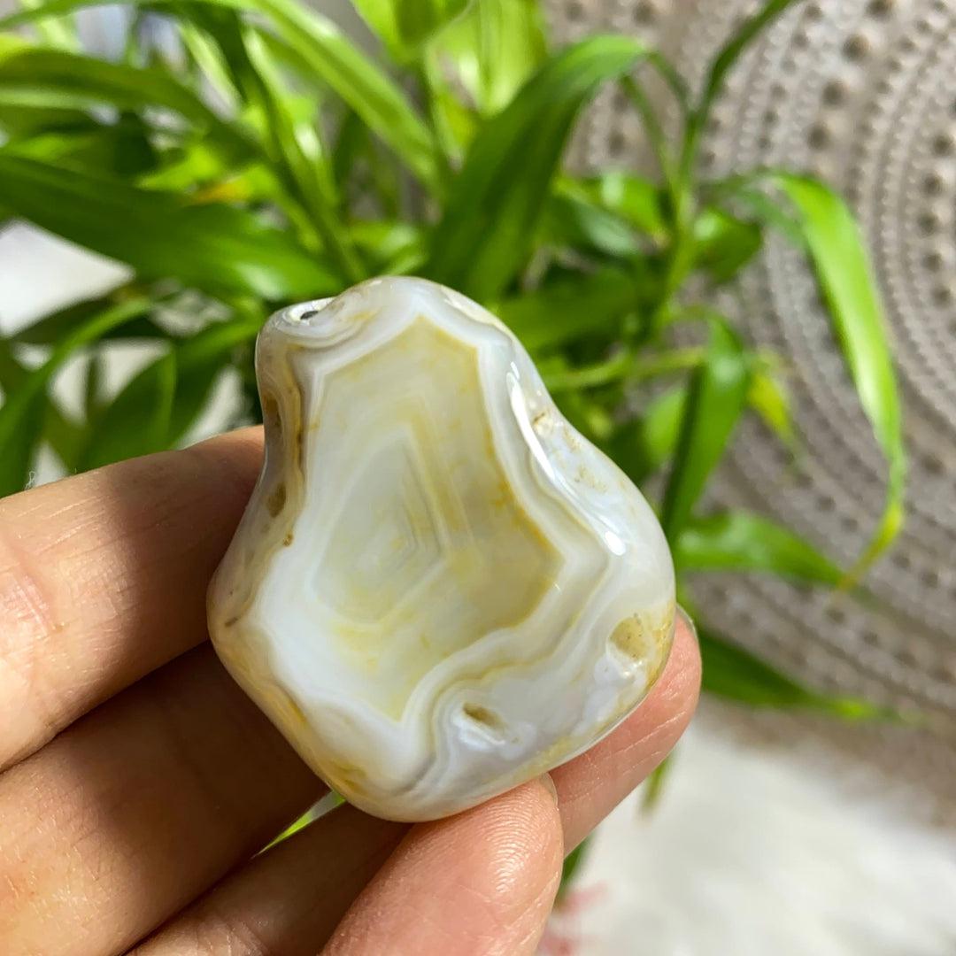 Popular Locale~Fairburn Agate Partially Polished Specimen From Black Hills, South Dakota, USA - Earth Family Crystals