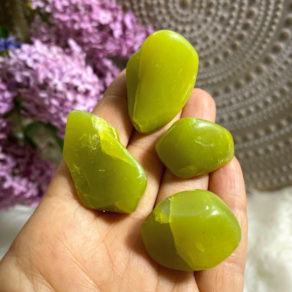 Set of 4 Lime Green Serpentine Tumbled Stones ~ Washington, USA - Earth Family Crystals