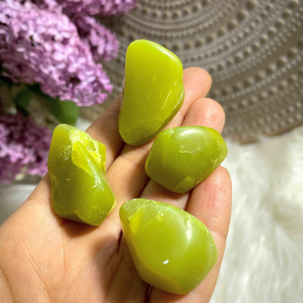 Set of 4 Lime Green Serpentine Tumbled Stones ~ Washington, USA - Earth Family Crystals