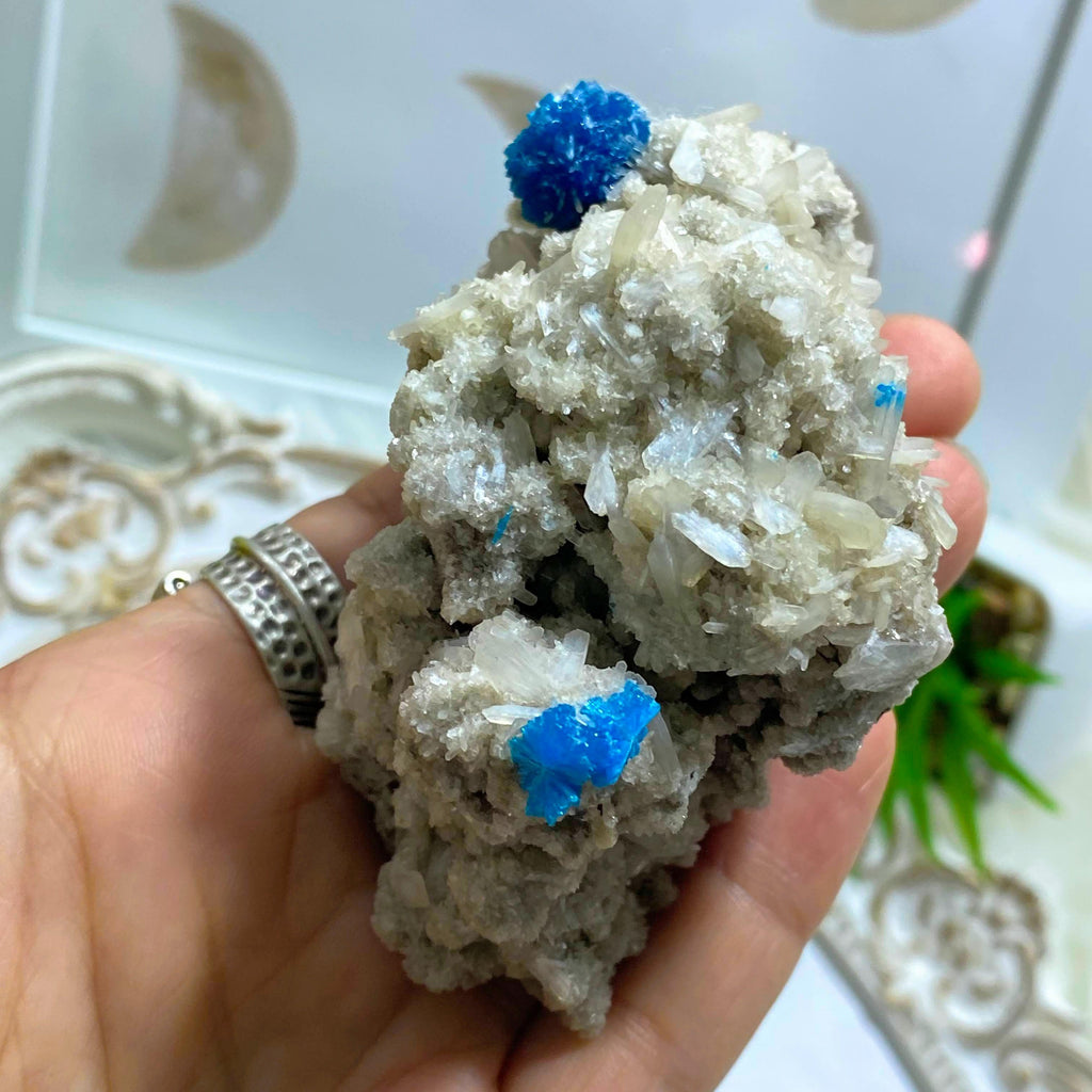 AA Grade Collectors Cavansite Crystals On Sparkly Stilbite Matrix From India - Earth Family Crystals