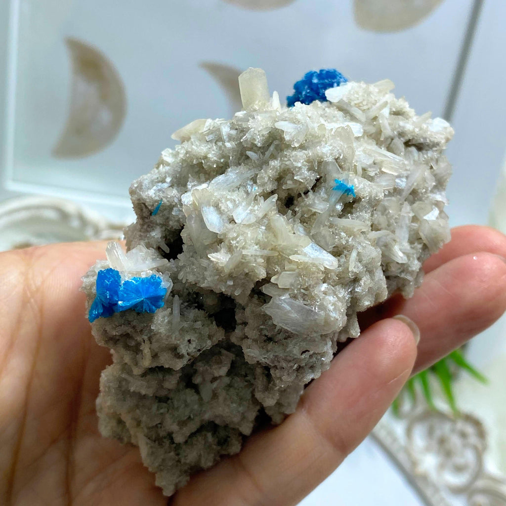 AA Grade Collectors Cavansite Crystals On Sparkly Stilbite Matrix From India - Earth Family Crystals