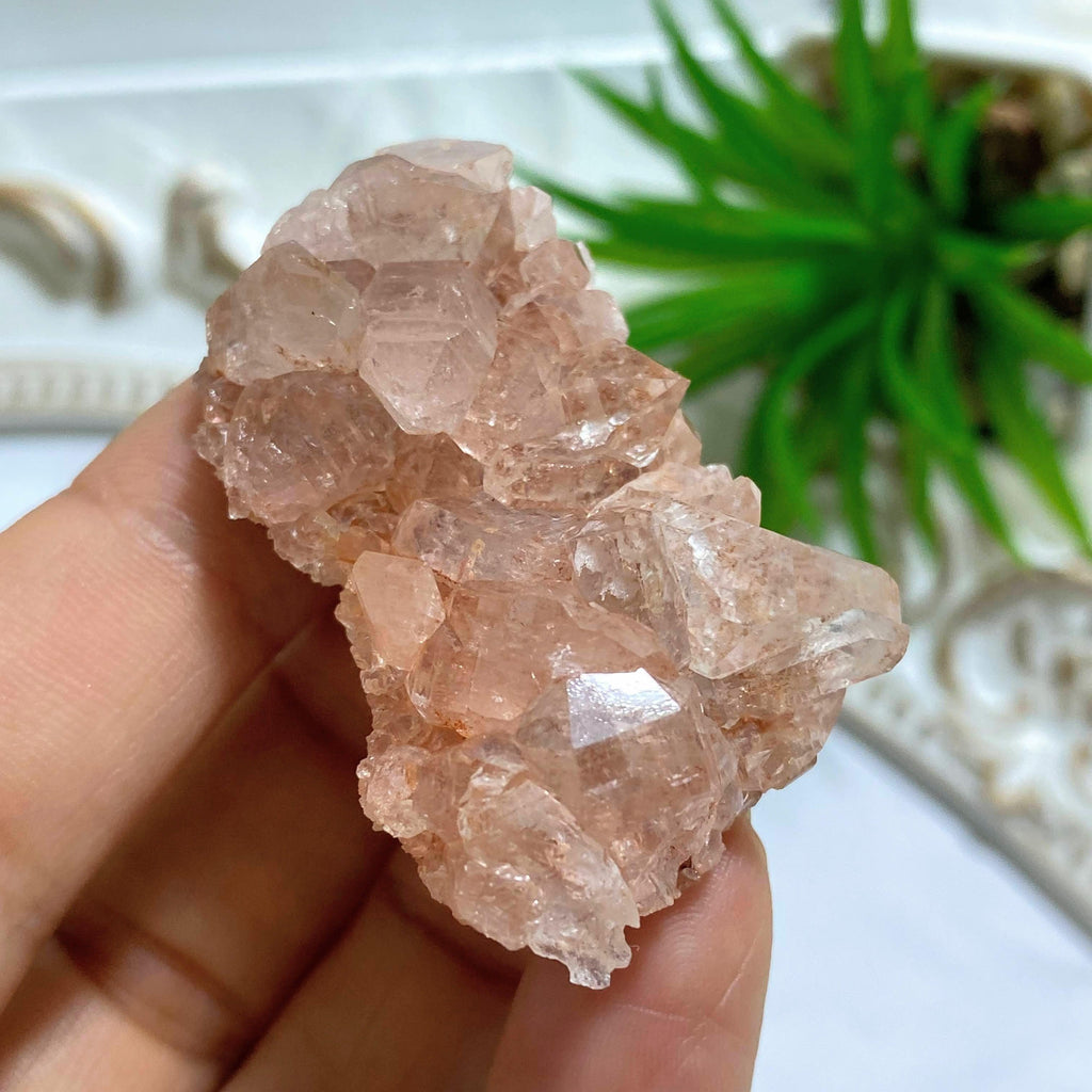Rare~ Pretty Rosy Pink Samadhi Himalayan Quartz Small Cluster - Earth Family Crystals