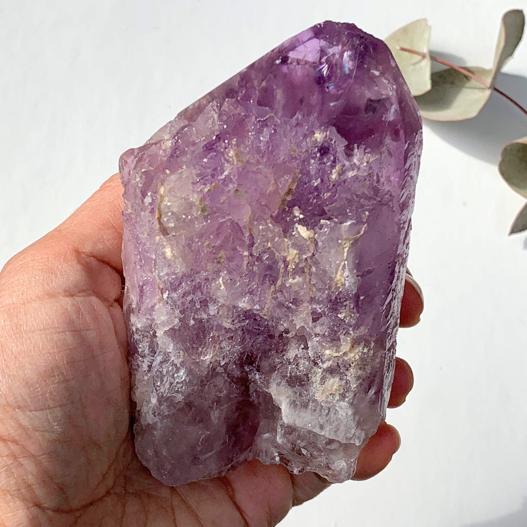 NEW FIND~Brilliant Natural Hydrothermal Etched XL Amethyst Specimen From Brazil #2 - Earth Family Crystals