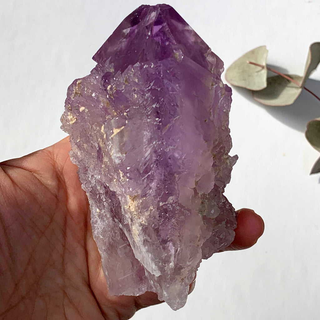 NEW FIND~Brilliant Natural Hydrothermal Etched XL Amethyst Specimen From Brazil #2 - Earth Family Crystals