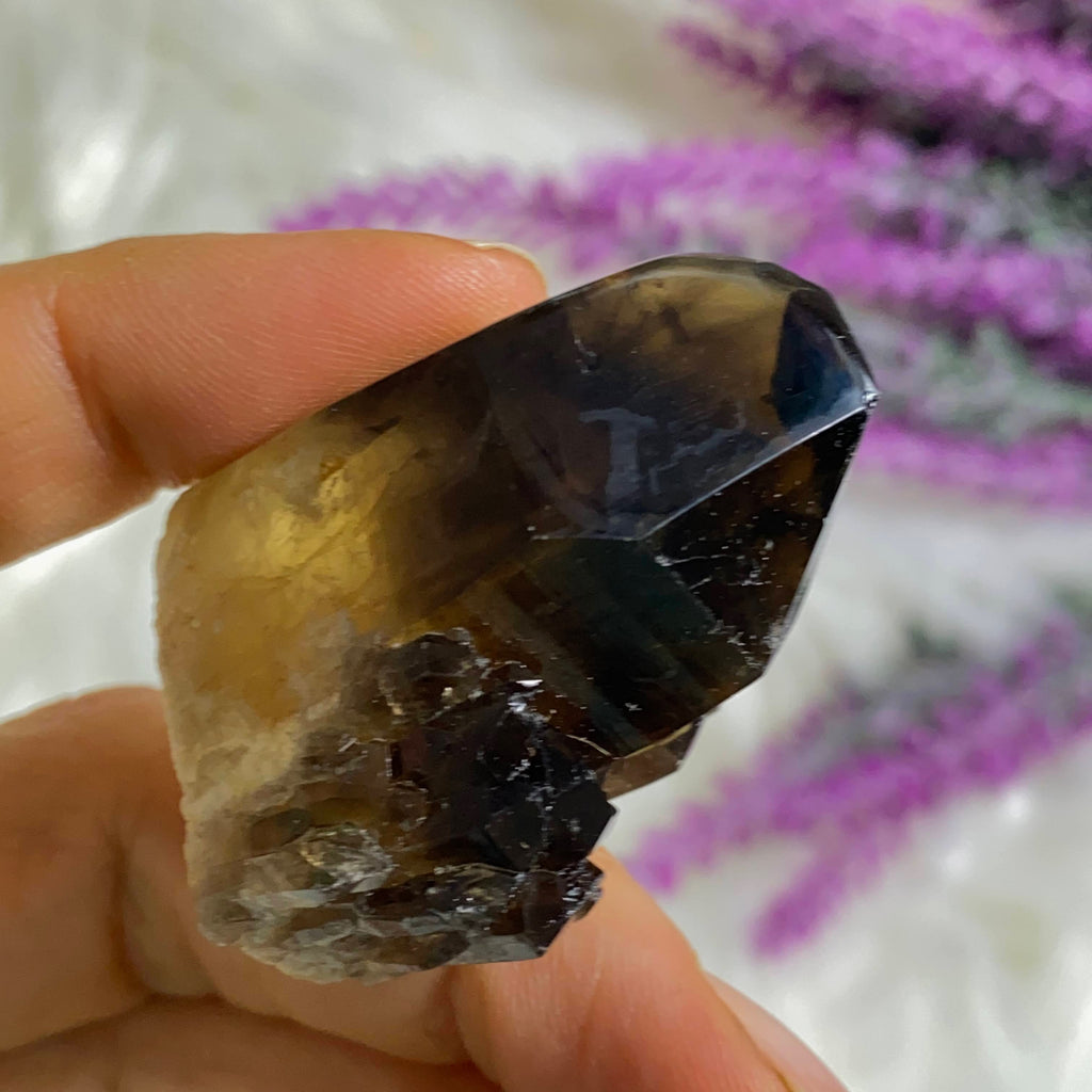 Citrine & Smoky Quartz Phantom Included Natural Elestial Kundalini Point #1 - Earth Family Crystals