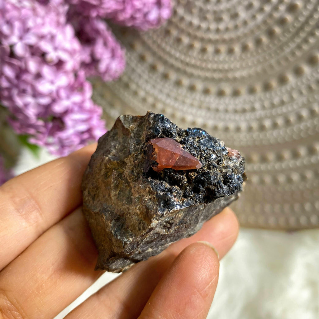 Rare Crystalline Pink Rhodochrosite on Black Manganese matrix in Collectors Box from Lima, Peru - Earth Family Crystals