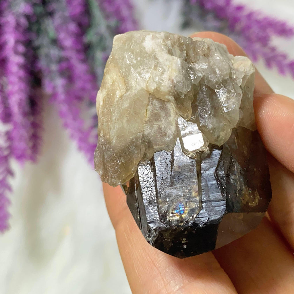 Reserved for Duchess.B~ Citrine & Smoky Quartz Phantom Included Natural Elestial Kundalini Point #2 - Earth Family Crystals